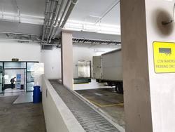 Focus One (D14), Factory #221576561